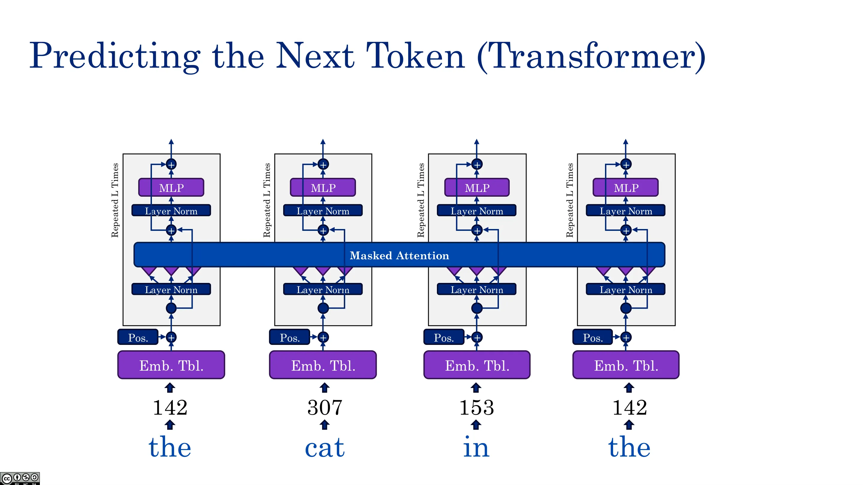 用 Transformer 预测下一个 Token（一）