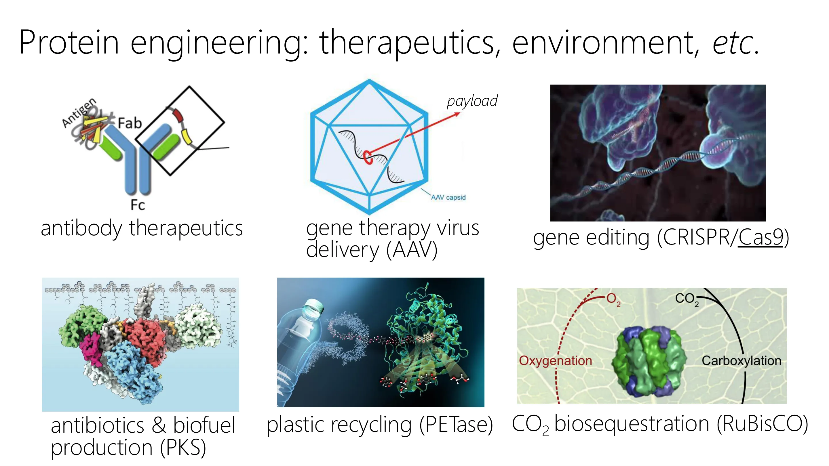 塑料回收（PETase）、CO₂ 生物封存（RuBisCO）