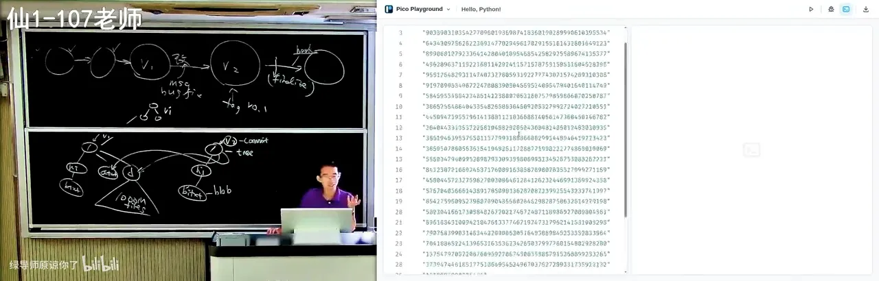 为小朋友定制的 Python 可视化教学环境：逐帧调试与动画播放