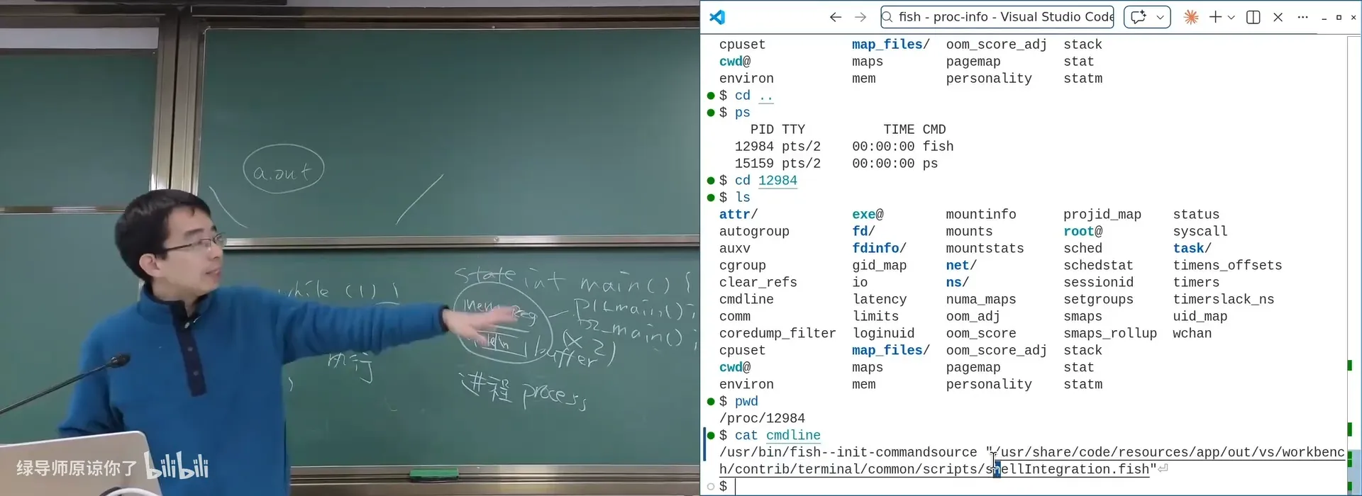 /proc 下的进程目录：cmdline、status、maps、fd 等信息