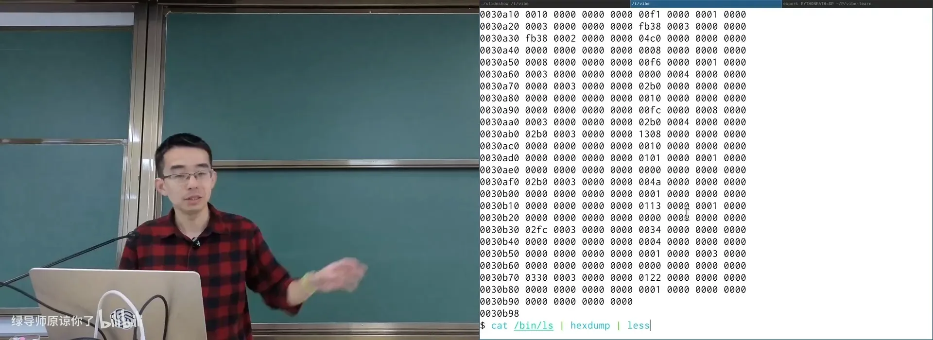 hexdump 一个可执行文件：开头就是 `7f 45 4c 46`（ELF）