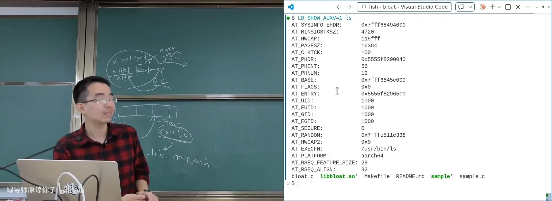 LD_SHOW_AUXV=1：auxv 里能看到 AT_SYSINFO_EHDR（vDSO）等