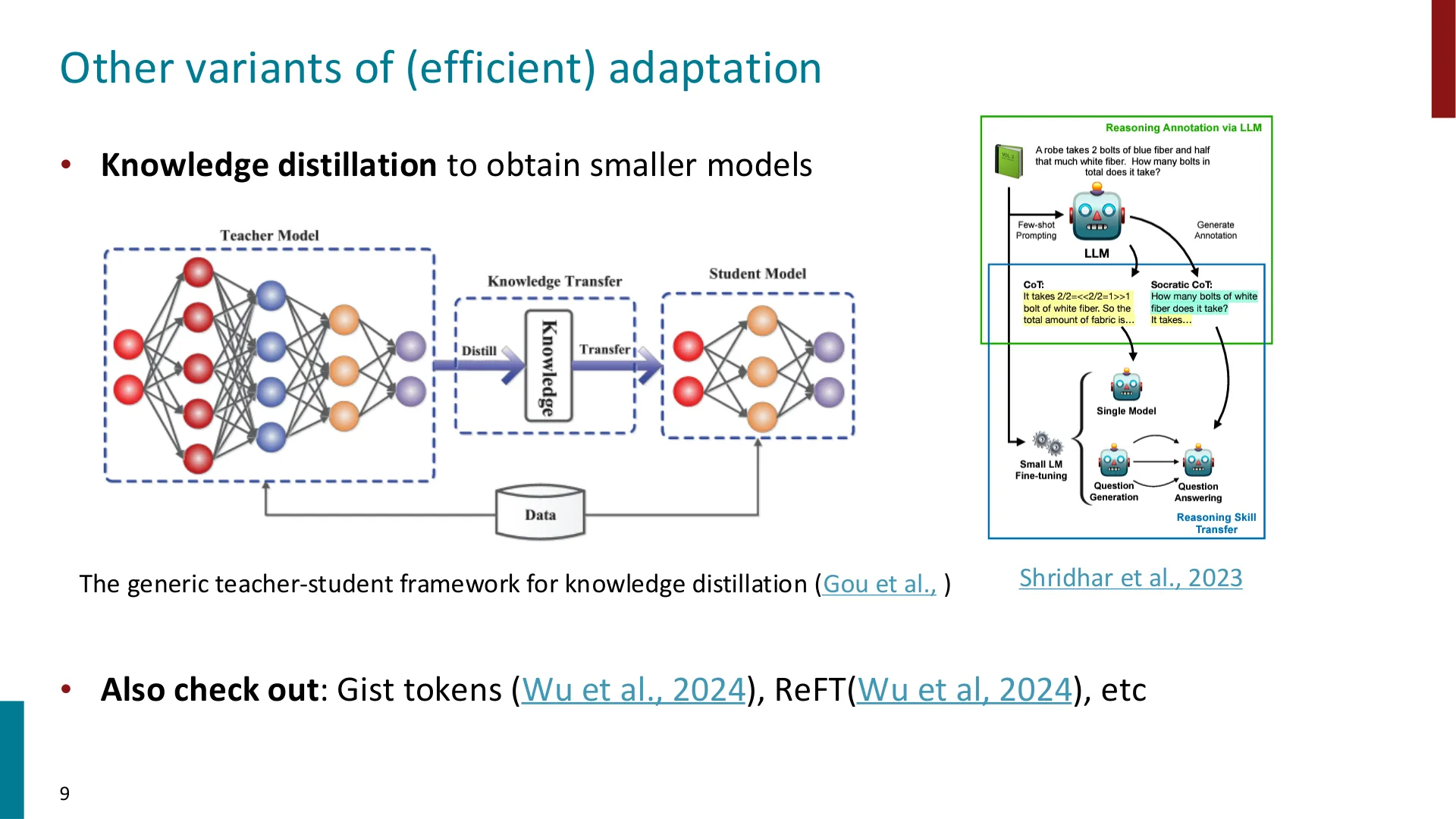 第 9 页幻灯片 · Other variants of (efficient) adaptation