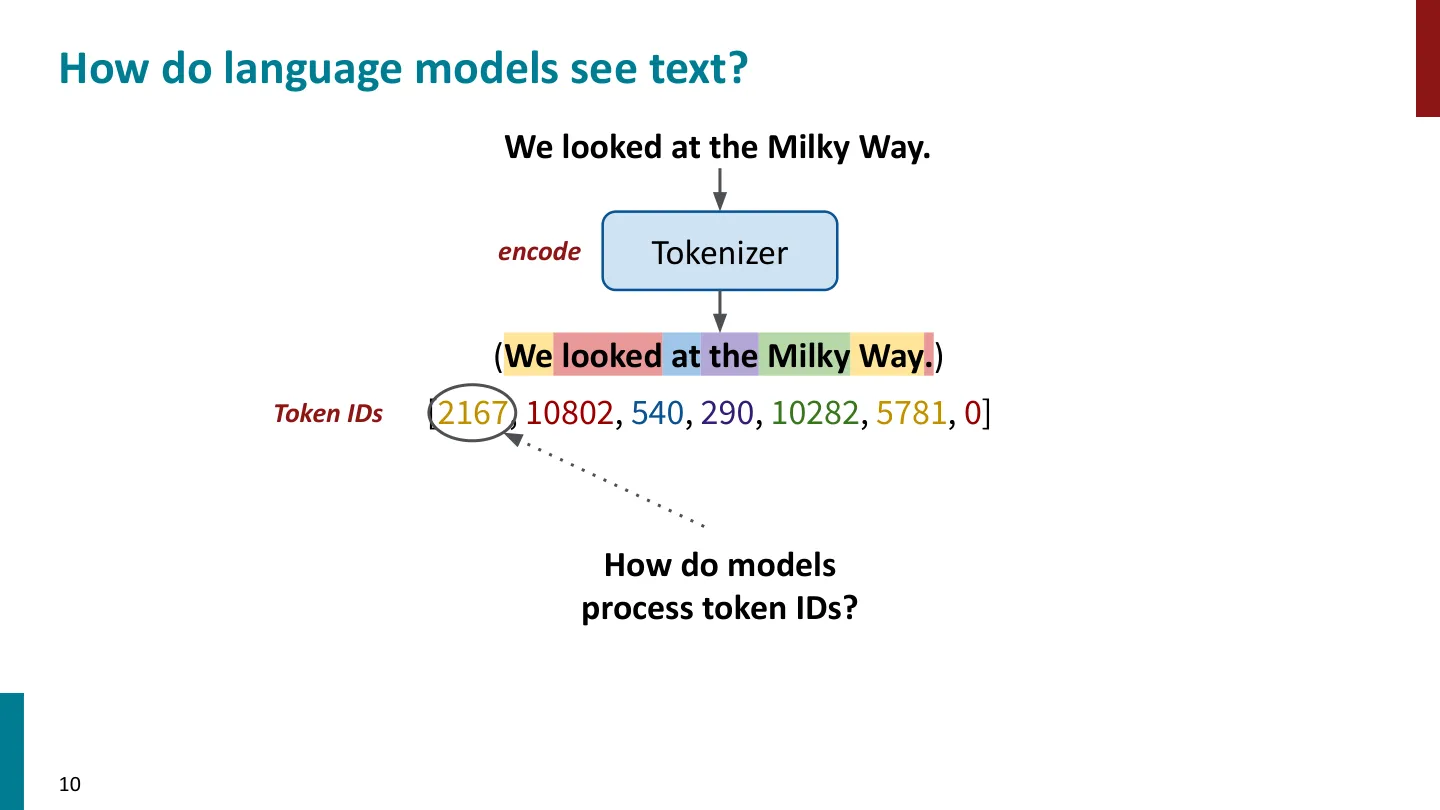 第 10 页幻灯片 · How do language models see text?