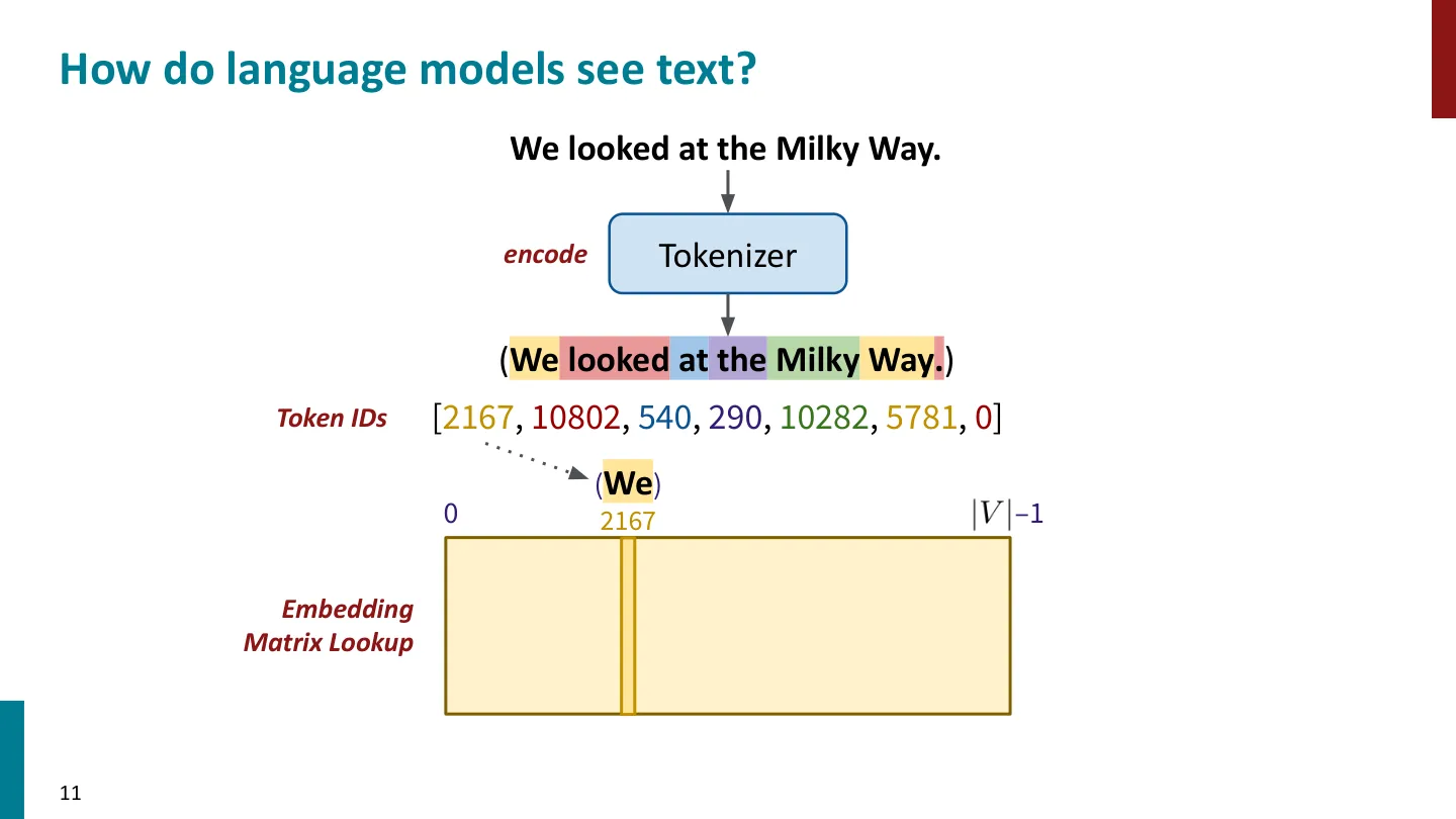第 11 页幻灯片 · How do language models see text?