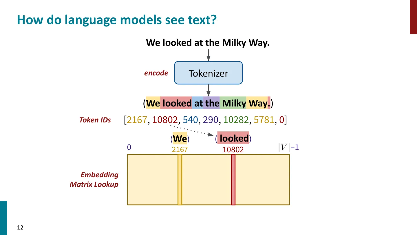 第 12 页幻灯片 · How do language models see text?