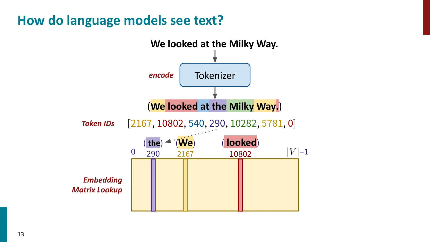 第 13 页幻灯片 · How do language models see text?