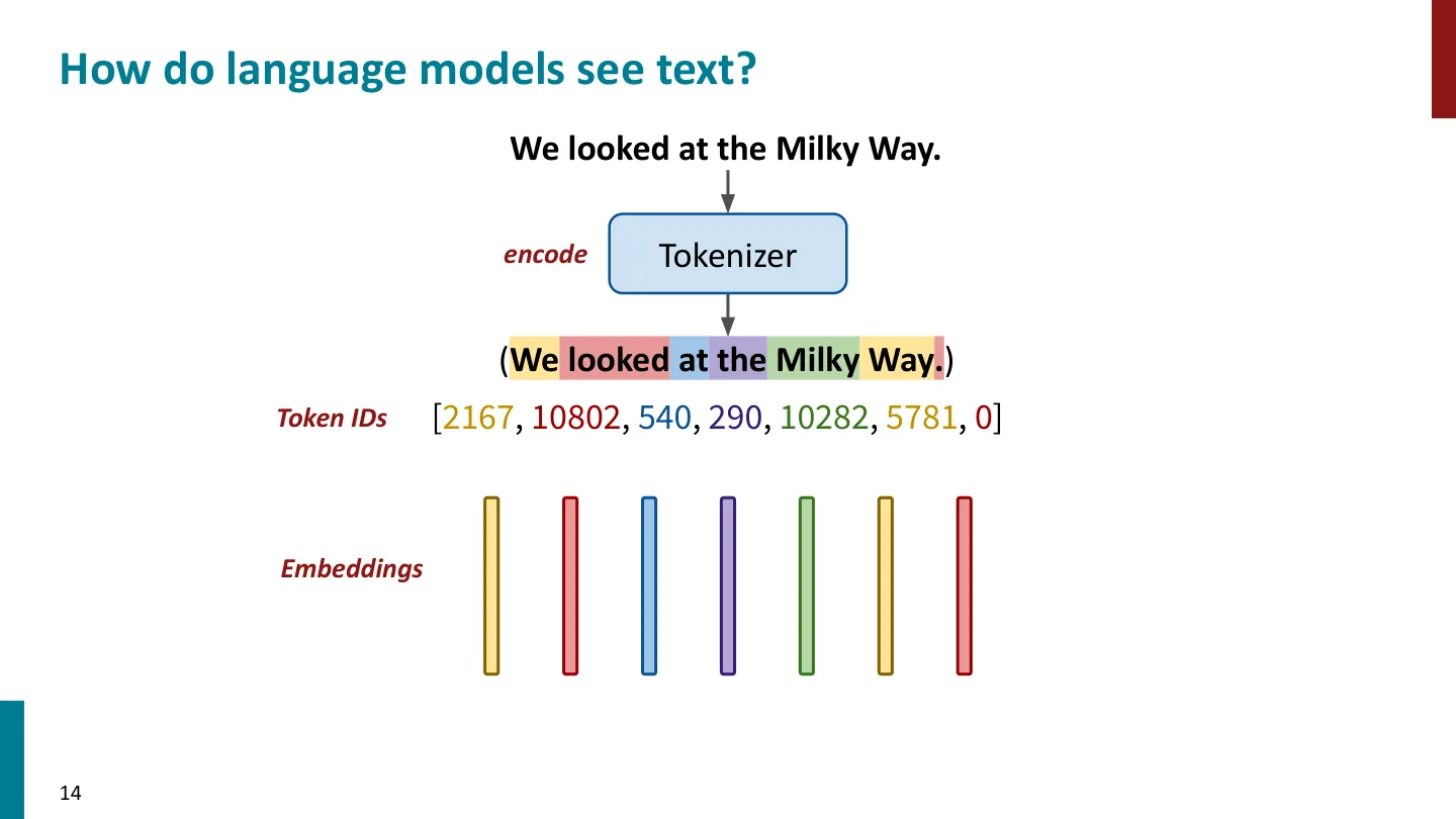 第 14 页幻灯片 · How do language models see text?