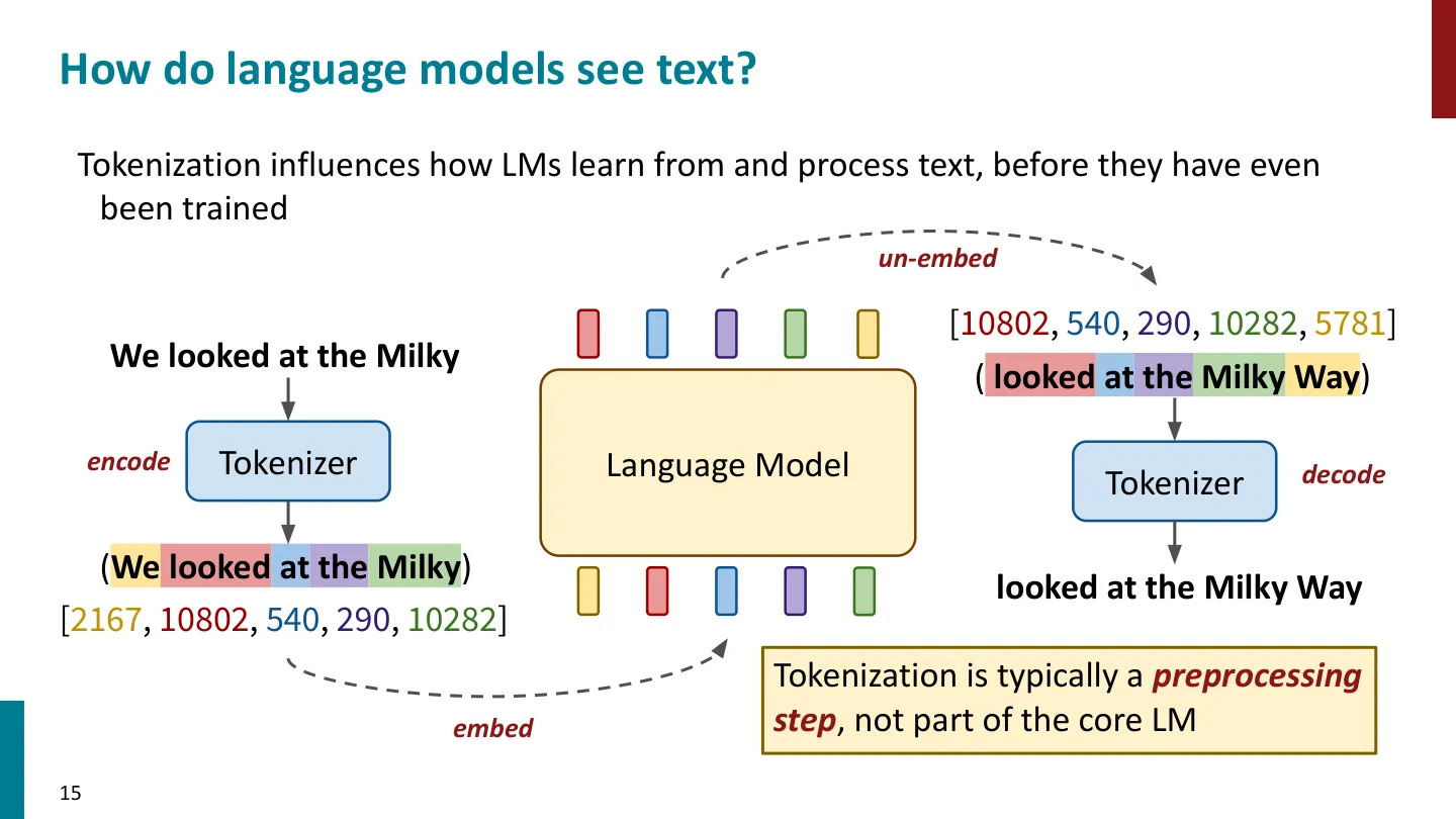 第 15 页幻灯片 · How do language models see text?