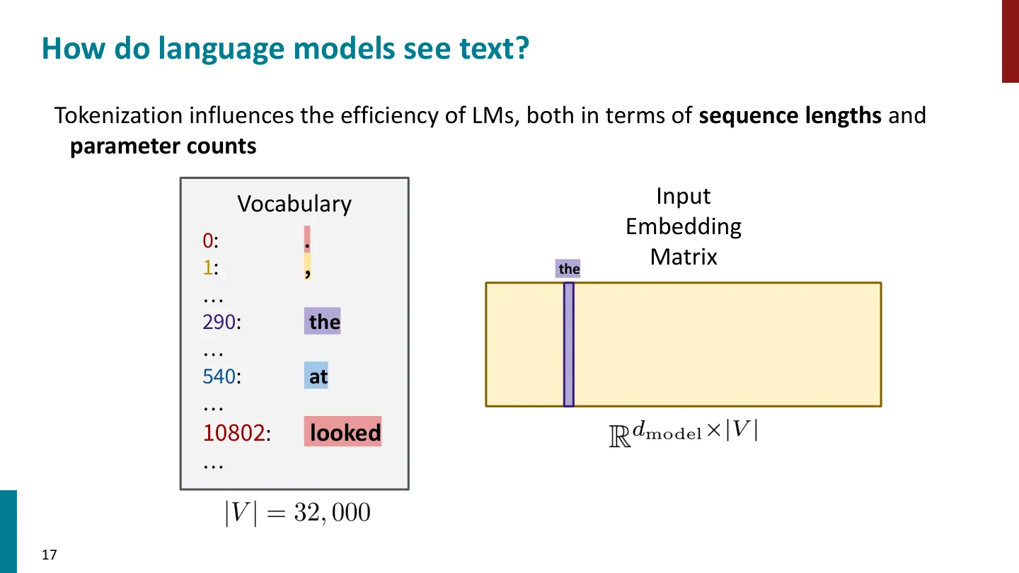 第 17 页幻灯片 · How do language models see text?